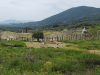 View Southern Part Messene