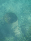 Huge Tube Shaped Sponge