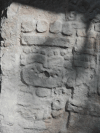 Detail Hieroglyphs Showing Number