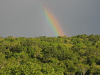 Rainbow Over Guatemalan Rainforest