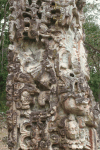 Side View Stele D