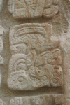 Hieroglyphic Inscription Stele P