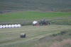 Hay Field Farmer Rolling