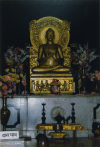 Buddha Statue Dharmachakra Mudra