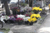 Flower Market