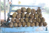 Durian Sale
