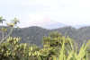 View Mount Sinabung Mount