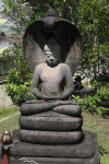 Meditating Buddha Dhyana Mudra