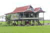 Local House Sulawesi