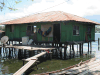 House Pulau Ase Lake