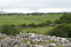 Stone Walls Ring Fields