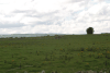 View Dolmain Chnoi Bhrúnaigh