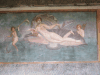 Fresco House Venus Shell