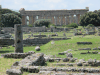 View Paestum Ruins Temple