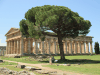 Temple Hera Ii 460