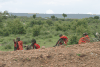 Maasai Men Resting Along