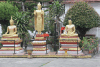 Group Buddha Statues Wat