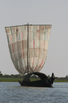 Sail Boat Niger River