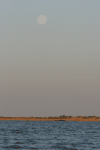 Moon Rise Over Niger