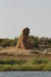 Termite Mound Shore Niger