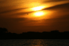 Lone Egret Flying Sunset