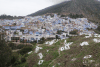Chefchaouen Cemetery Foreground