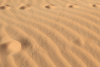 Animal Tracks Sand
