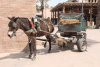 Horse-drawn Cart