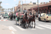 Horse-drawn Carriage Marrakesh