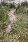 Hippo Trail Note Grass