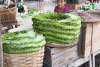 Leaves Wrapping Betel Nuts