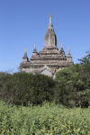 Pagoda Bagan