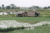 Farm House Outskirts Yangon