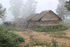 Local Houses Elephant Village