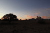 Nightfall Desert