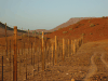 Fence Between Namibia Angola