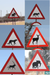 Various Road Signs Warning