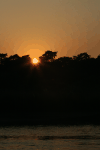 Sunset Chitwan