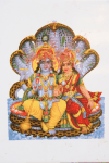 Lord Vishnu Lakshmi Consort