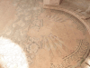 Floor Mosaics 5th Century