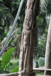Carved Wooden Column Spirit