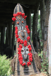 Close-up Spirit Decorated Flowers