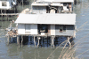 House Stilts Port Moresby