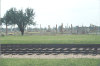 Train track to Birkenau