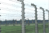 Electrified barbed wire fence around Birkenau