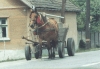 Horse Cart Used Frequently