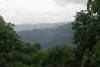 View Nyungwe National Park