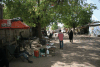Street Scene Village Sénégal