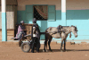 Horse Drawn Cart Used