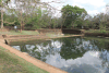 Pond Water Garden